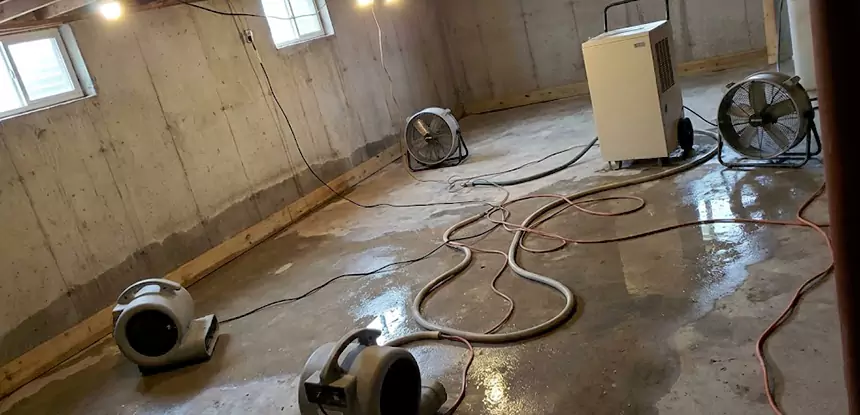 Professional Commercial Water Damage Repair Services in Cave Spring, GA
