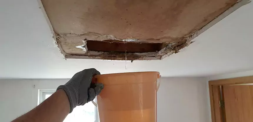 Ceiling Mold Repair Cave Spring